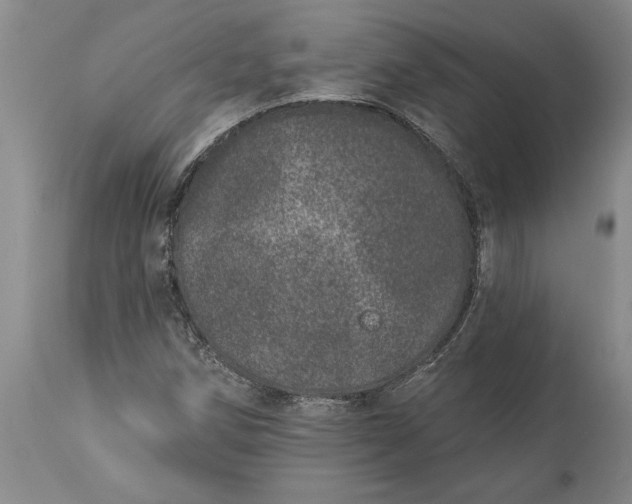 X0000113631258200910021844
