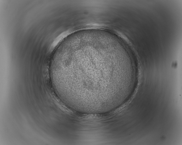 X0000113631259200910021844