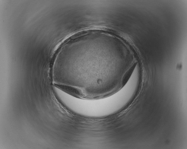 X0000113631260200910021844