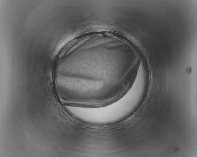 X0000113631261200910021844