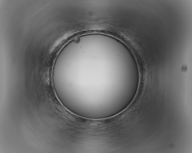 X0000113631262200910021844