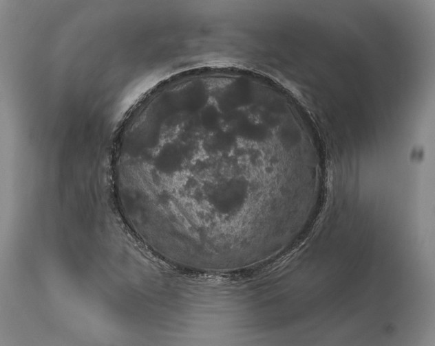 X0000113631263200910021844