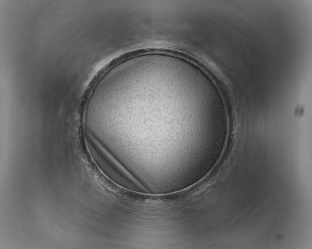X0000113631264200910021844