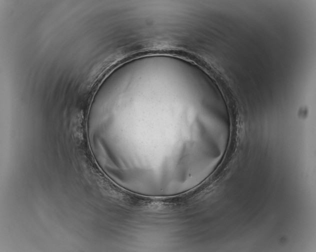 X0000113631265200910021844