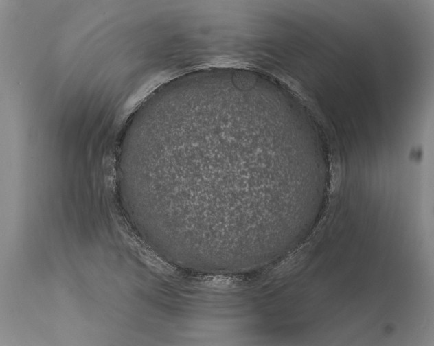 X0000113631266200910021844