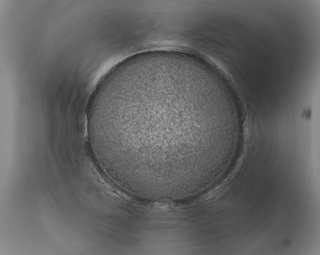 X0000113631267200910021844