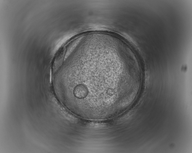 X0000113631269200910021843