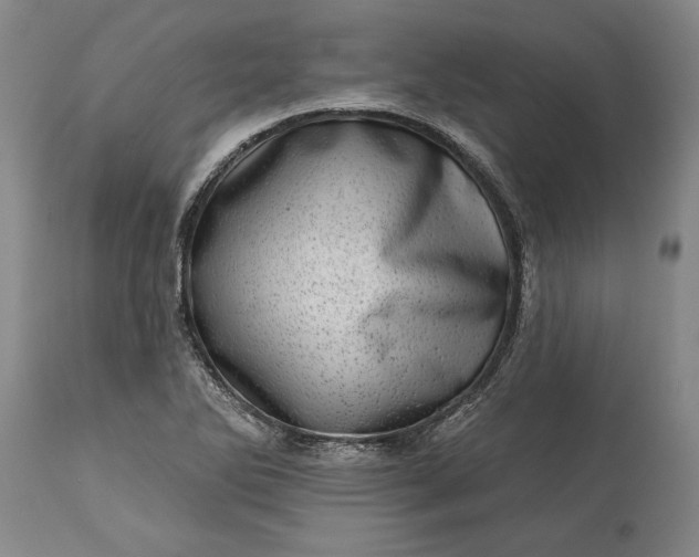 X0000113631270200910021843