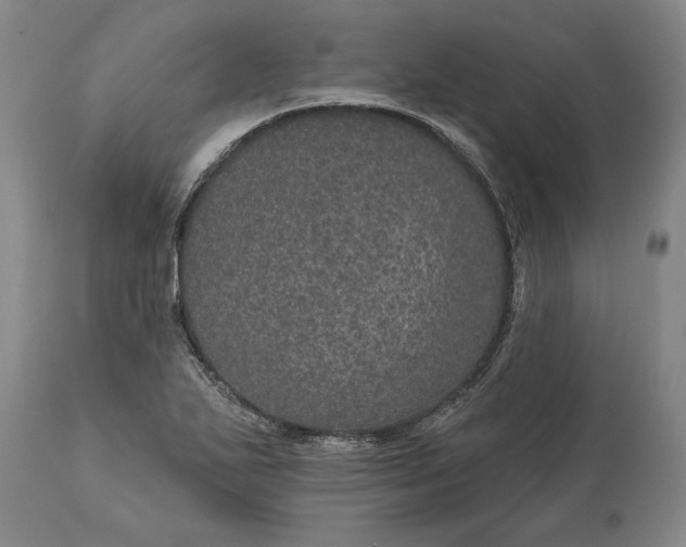 X0000113631271200910021843