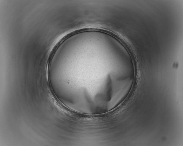 X0000113631272200910021843