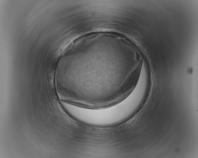 X0000113631273200910021843