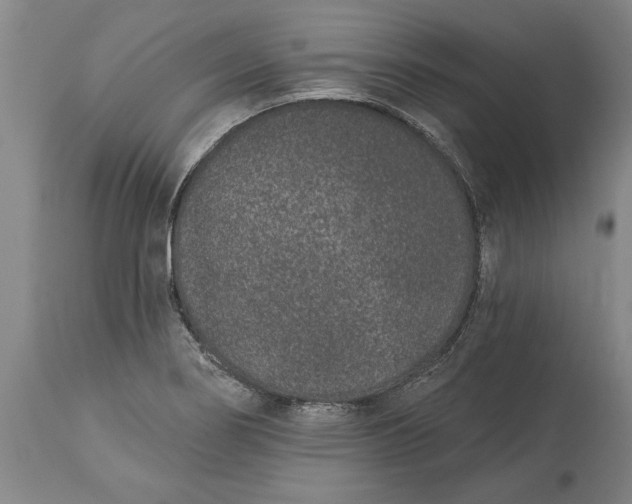 X0000113631274200910021843