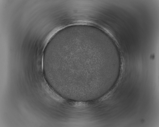 X0000113631275200910021843