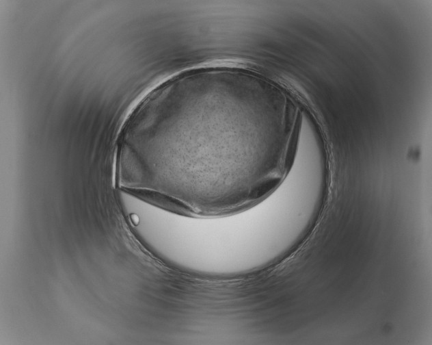 X0000113631276200910021843