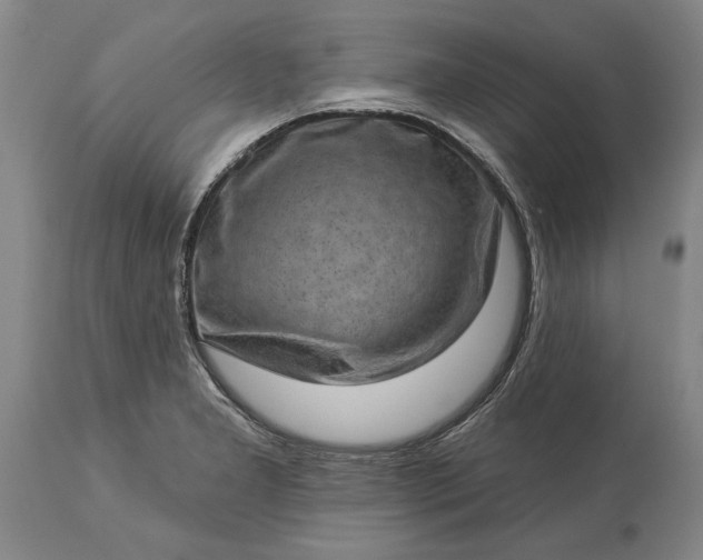 X0000113631277200910021843