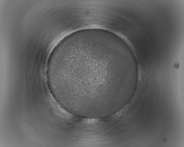 X0000113631278200910021843