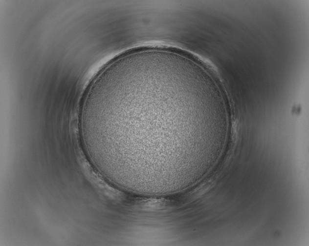 X0000113631279200910021843