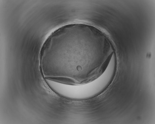 X0000113631280200910021843