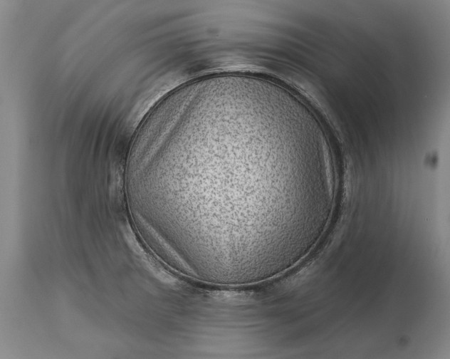 X0000113631281200910021843