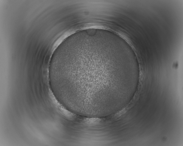 X0000113631282200910021843