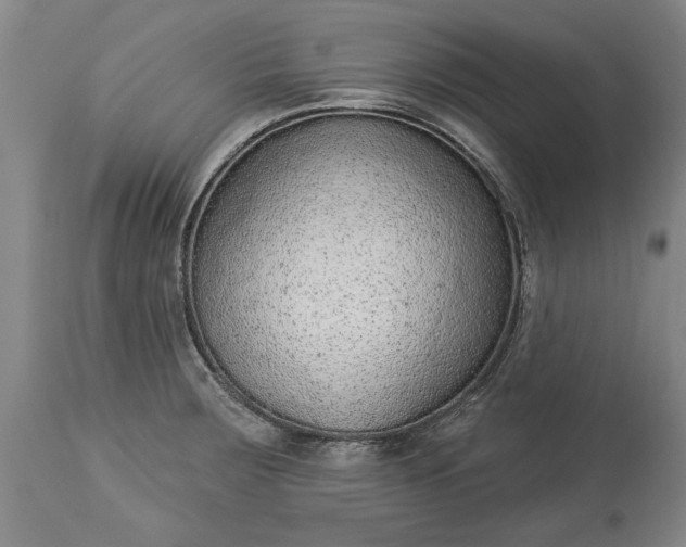 X0000113631283200910021843