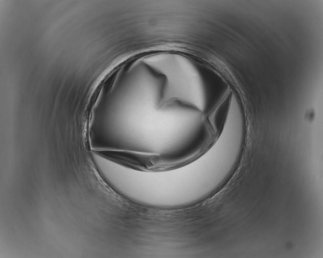 X0000113631284200910021843