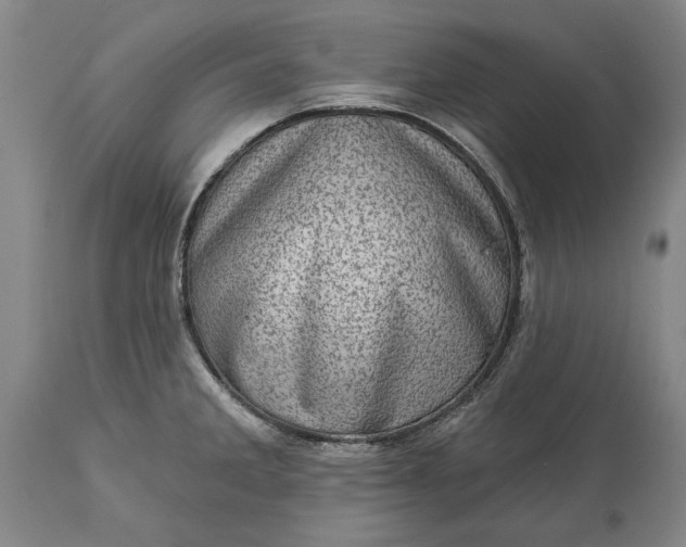 X0000113631285200910021843