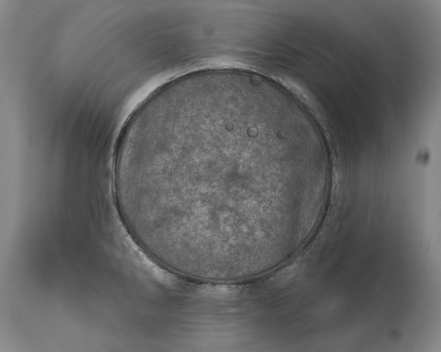 X0000113631286200910021843