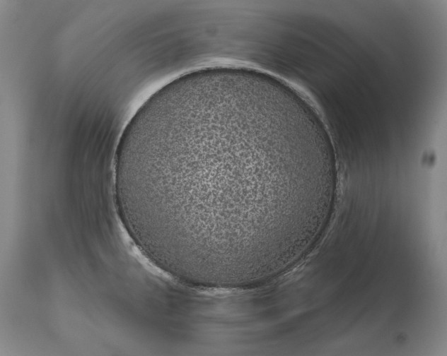 X0000113631287200910021843