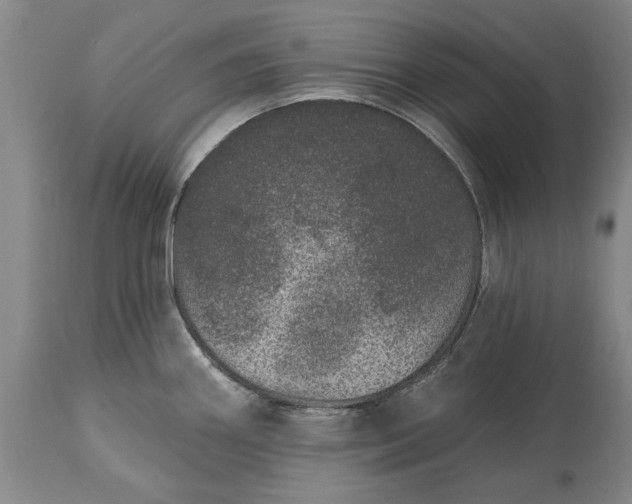 X0000113631290200910021843