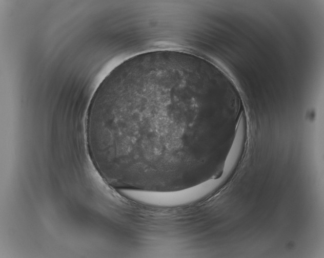 X0000113631291200910021843