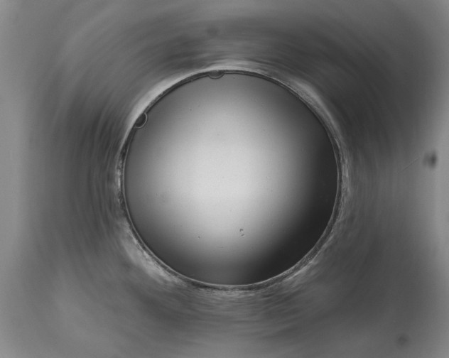 X0000113631292200910021843