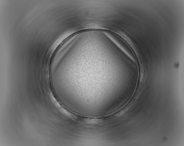 X0000113631293200910021843