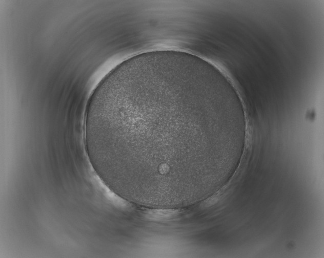 X0000113631294200910021843