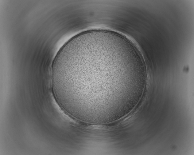 X0000113631295200910021843