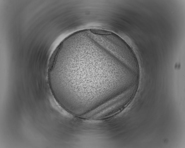 X0000113631296200910021843