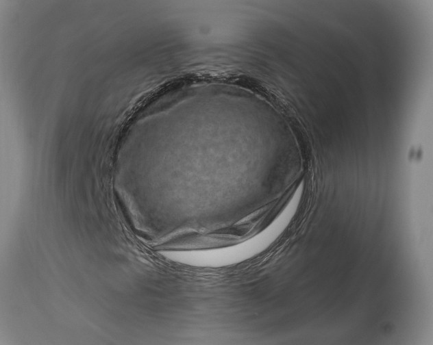 X0000113631297200910021842