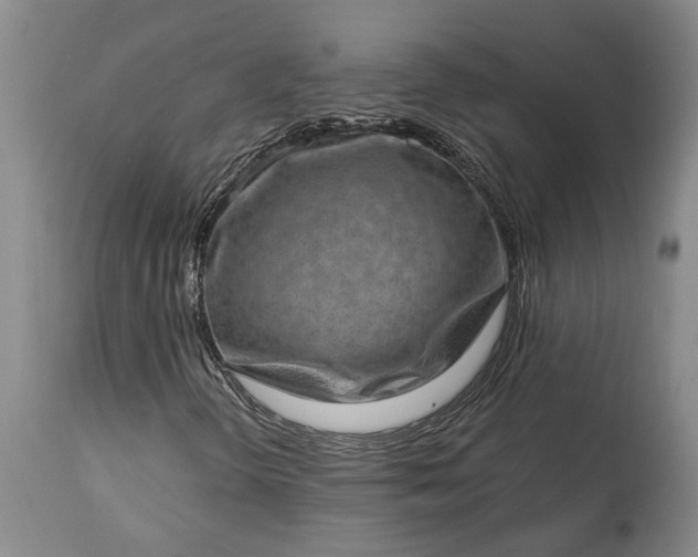 X0000113631298200910021842
