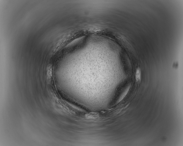 X0000113631299200910021842