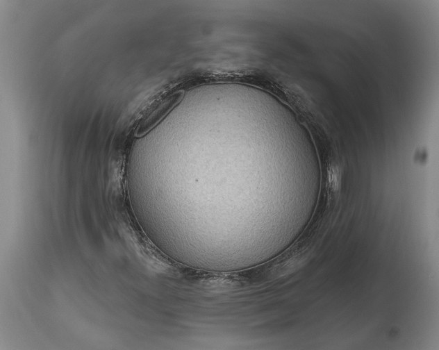 X0000113631300200910021842