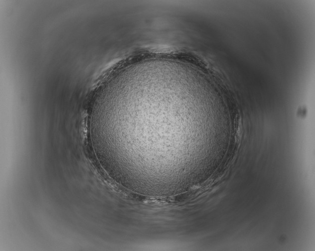 X0000113631301200910021842