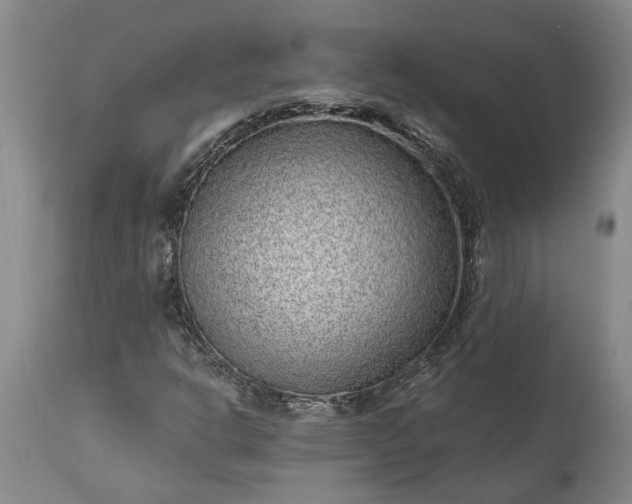 X0000113631302200910021842