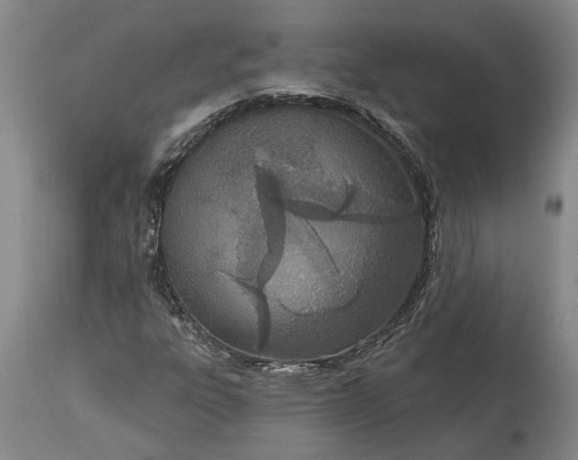 X0000113631303200910021842