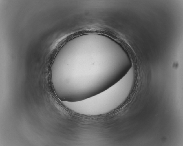 X0000113631304200910021842