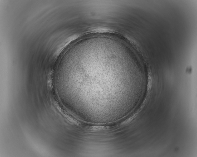 X0000113631305200910021842