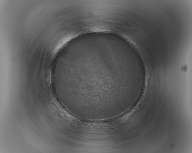X0000113631306200910021842