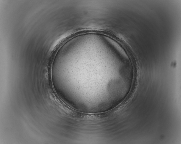 X0000113631307200910021842