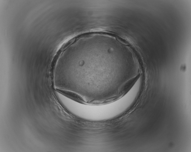 X0000113631308200910021843