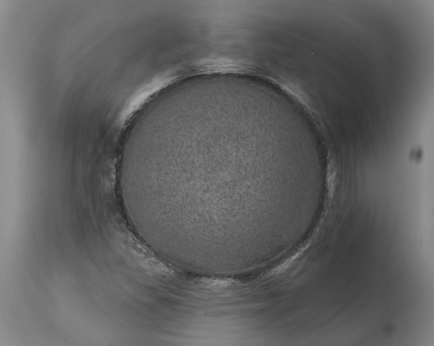 X0000113631309200910021843