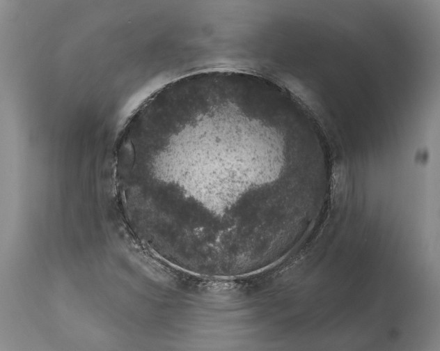 X0000113631310200910021843
